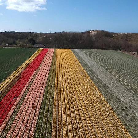 Wellness Retreat In The Egmond Dunes Ferienhaus *