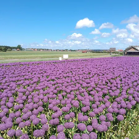 Wellness Retreat In The Egmond Dunes Holiday home